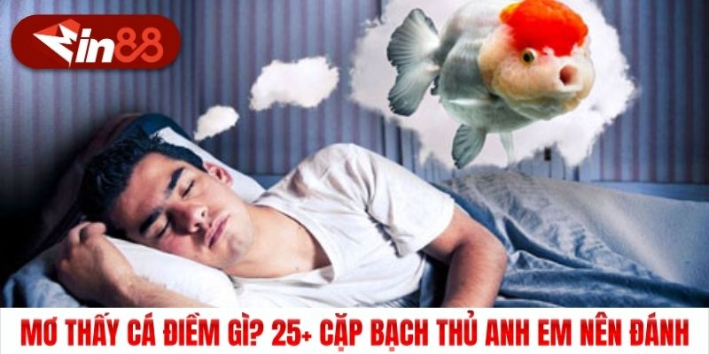 Mơ Thấy Cá Điềm Gì? 25+ Cặp Bạch Thủ Anh Em Nên Đánh
