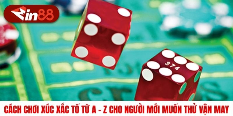 Cách Chơi Xúc Xắc Tố Từ A - Z Cho Tân Thủ Muốn Thử Vận May
